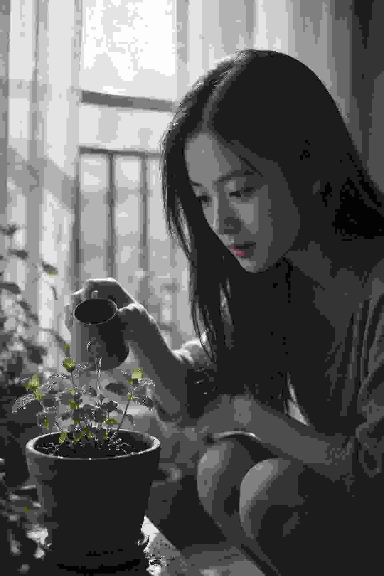 系统堆砌的强者